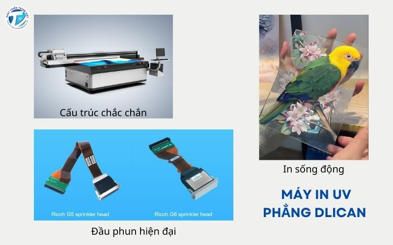 DLICAN là dòng máy in tranh kính 3D sử dụng công nghệ in UV chuẩn đẹp
